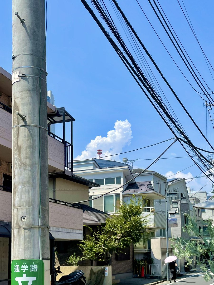 この前まで「あの頃の夏空ってなんか良かったな〜〜」と思ってたんだけど、本当は背が伸びたから見上げることが減っただけで夏の空はずっと綺麗だったみたい‼️