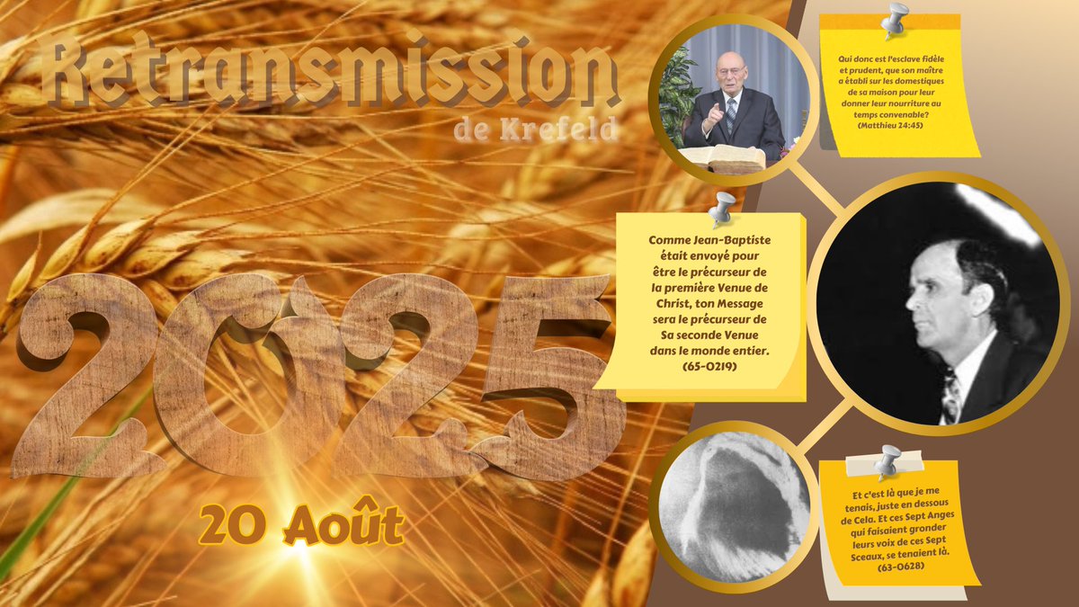 MISSIONNAIRE NETWORK tweet media