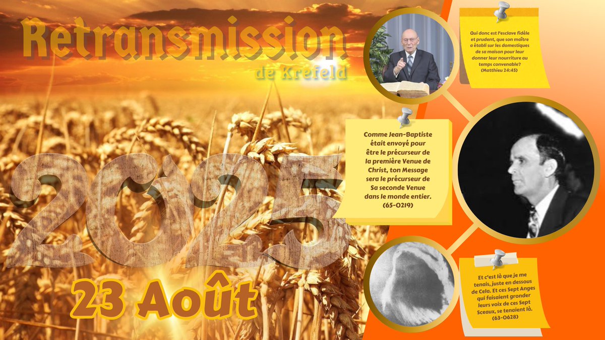 MISSIONNAIRE NETWORK tweet media