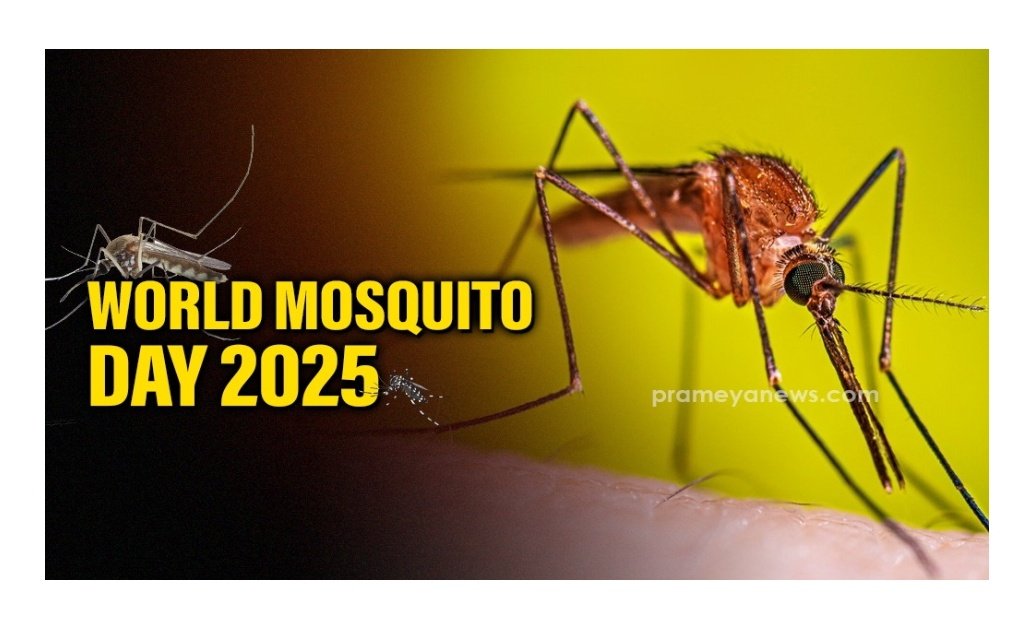 Pregnant women are more susceptible to malaria, which can lead to severe illness, anemia, and low birth weight in newborns. No pregnant woman should be exposed to the bite of a #mosquito.

#worldmosquitoday2025