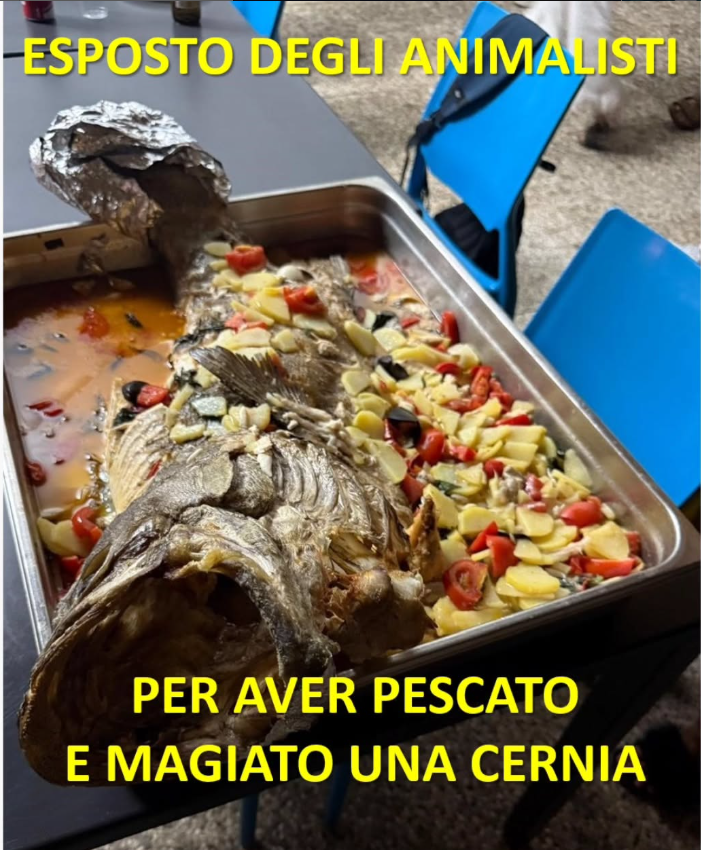 Roberto Vannacci tweet media