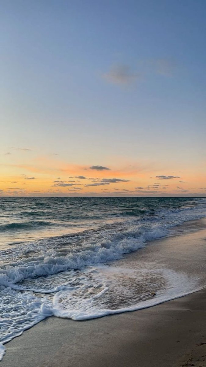 ocean (@hawsett4) on Twitter photo 