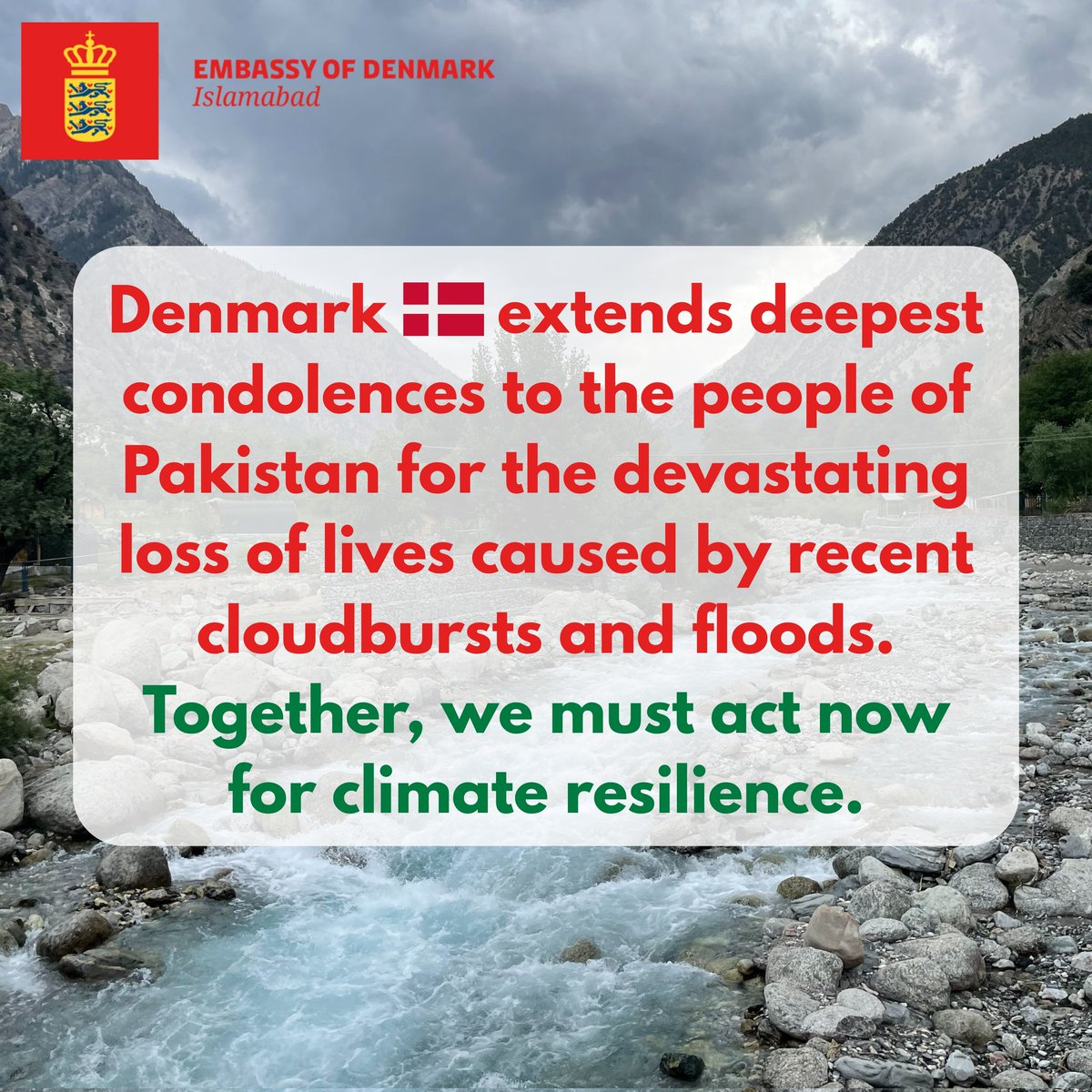 Maja Derrous Mortensen tweet media