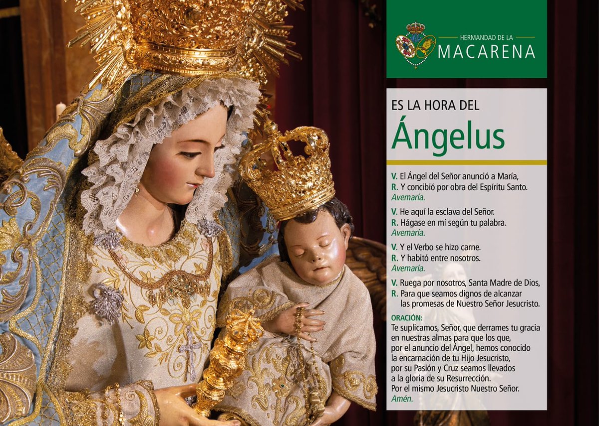 ÁNGELUS | A las 12:00 h te invitamos a rezar el Ángelus y a poner ante la Virgen tus intenciones.

Hoy pedimos por la paz en el mundo y el fin de las guerras que provocan dolor, injusticia y muerte.