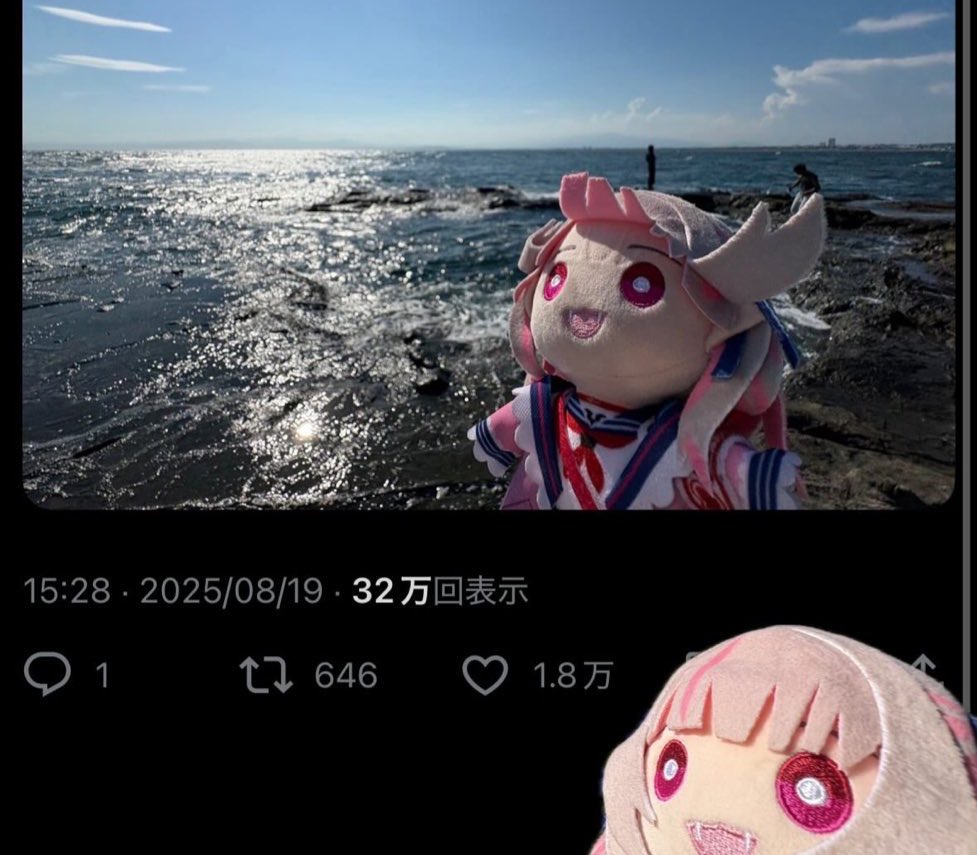 iimu_picture's tweet photo. りりむ、なんだかすごいことになっちゃったね。 https://t.co/o3RtsGKskF