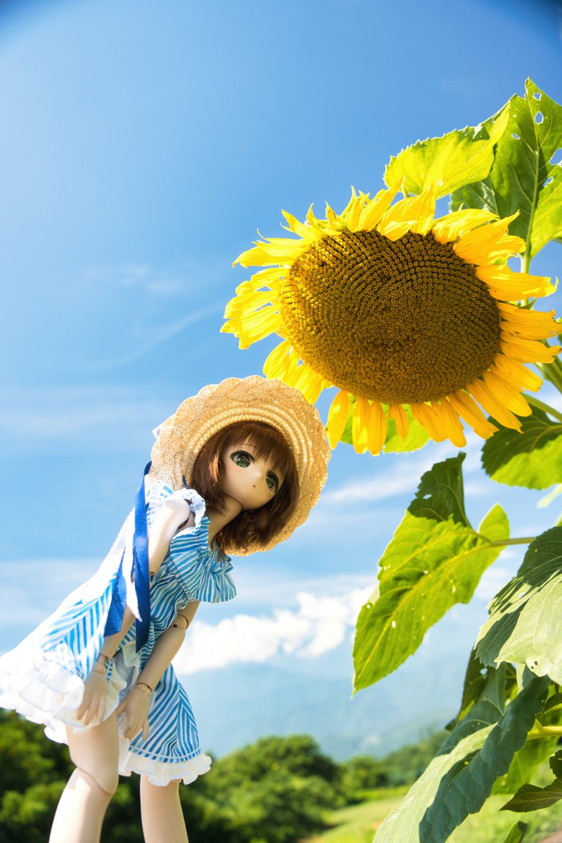 むつき「うつむいてどうしたの？」
🌻＜暑くて……
#飴りす亭