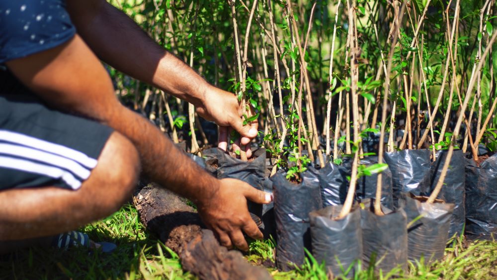 Algunas acciones para minimizar nuestro impacto en los entornos naturales de nuestros proyectos en 2024👇🏻

🐊105 monitoreos de fauna realizados
🐾Construcción y mantenido de 79 pasos de fauna
🌺662 ejemplares de flora trasplantados

🔗 sacyr.com/sostenibilidad