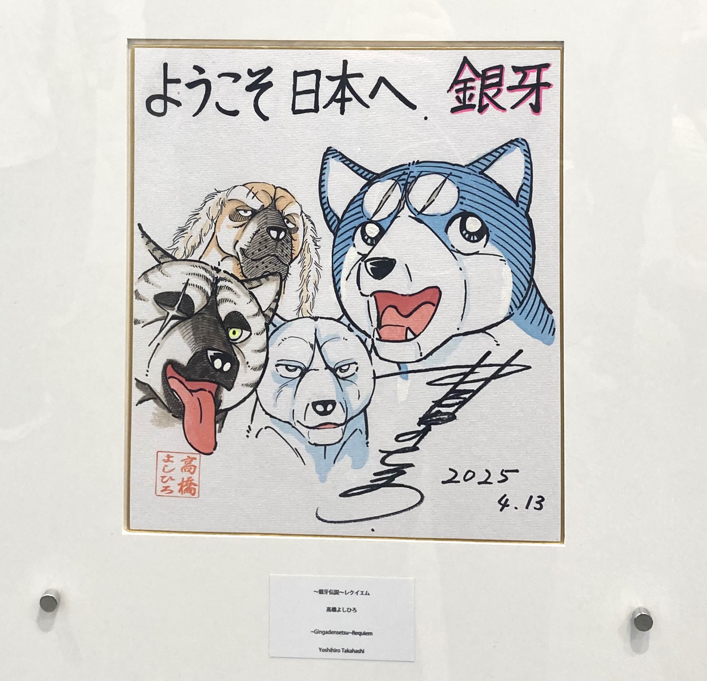 銀牙伝説ウィード オリオン 流れ星銀 銀牙 全巻　送料無料　漫画　高橋よしひろ 銀牙伝説 WEED オリオン 高橋よしひろ [1-30巻 漫画全巻セット