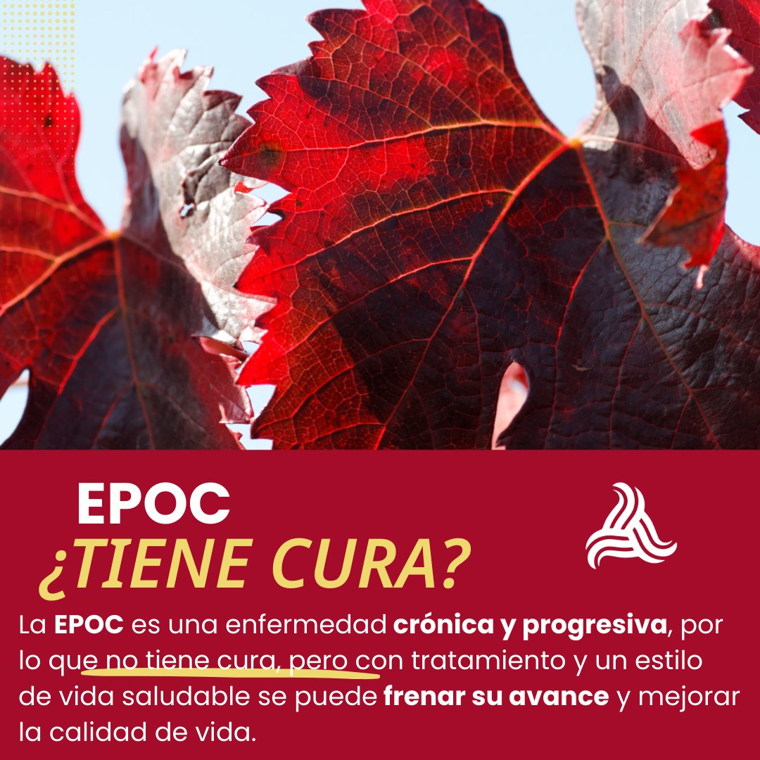 ❓¿La EPOC tiene cura?

La EPOC es una enfermedad crónica y progresiva, por lo que no puede curarse. Sin embargo, el tratamiento médico y la adopción de hábitos saludables permiten aliviar los síntomas, mejorar la capacidad respiratoria y mantener una vida más activa.

👩‍⚕️