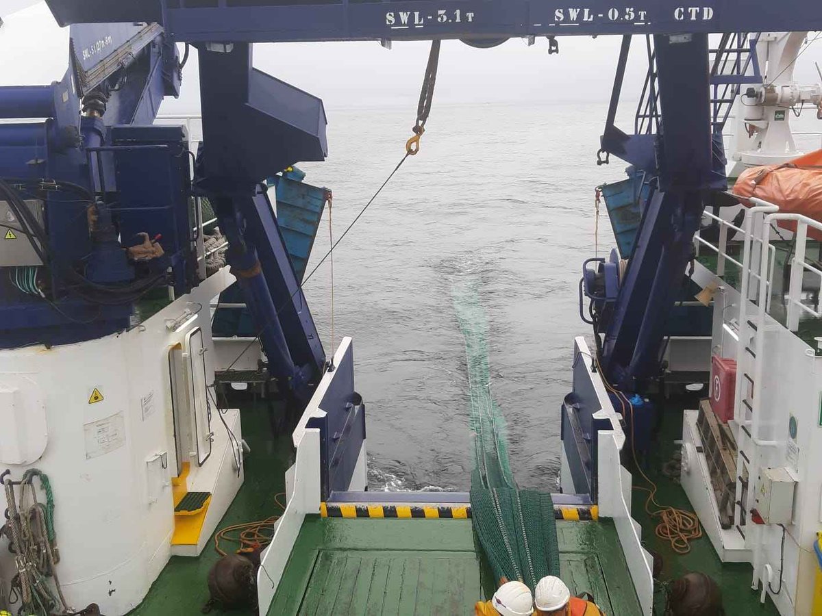 Un equipo científico de España y Portugal estudia la abundancia de juveniles de sardina en aguas atlánticas de la península.

Recorrerán las aguas entre Fisterra y Cabo Espichel a bordo del buque Ángeles Alvariño del #IEO_CSIC

🔗 tinyurl.com/3e2jw9zr

#FEMPA #pescasostenible
