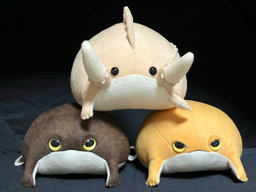 今更ですが #WF2025夏 今回は、この子のためだけに久しぶりに一般参加