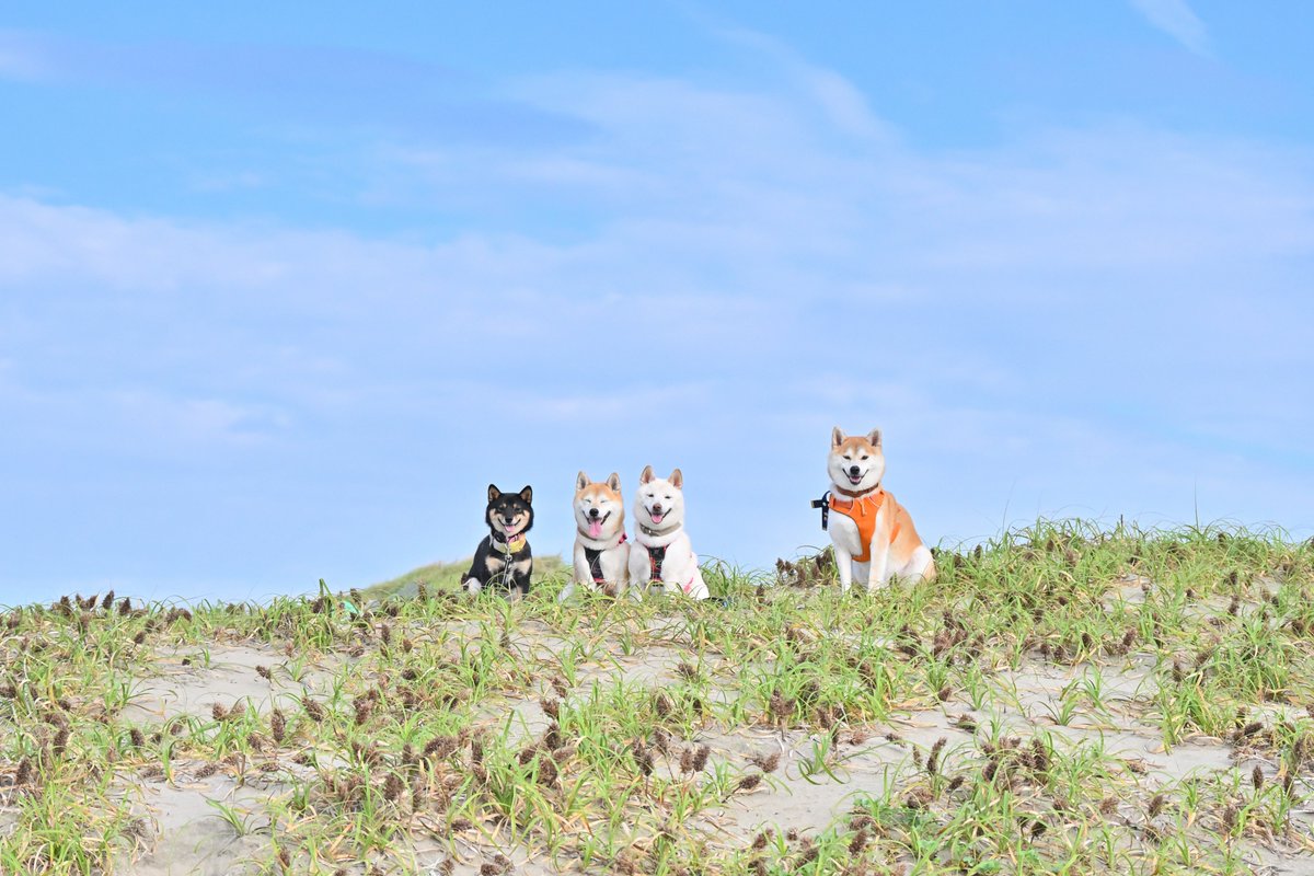 みんなでVIVANTごっこした、良き思い出😊

#VIVANT #COMINGBACK2026 
#その夜から体がバキバキに
#砂浜散歩はいつもと違う筋肉使う