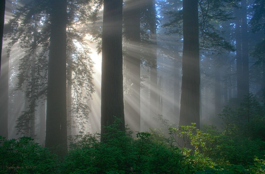 I just want to stand here in this place &amp; forget about all the craziness happening in our country...&amp; just breath &amp; find inner peace while communing with the Lord...Just To Breath &amp; Find Inner Peace.
Who wants to join me?