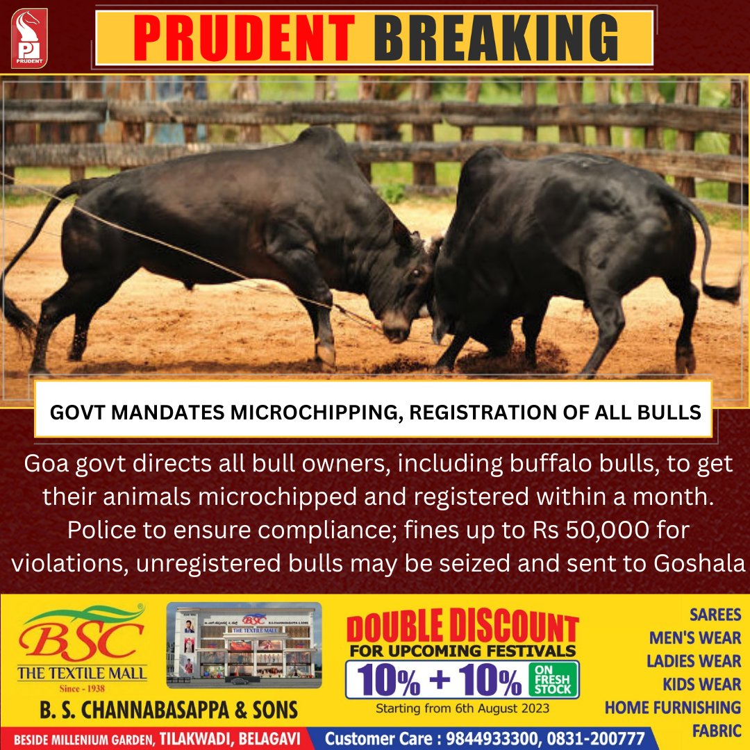 prudentgoa's tweet photo. Goa govt directs all bull owners, including buffalo bulls, to get their animals microchipped and registered within a month. Police to ensure compliance; fines up to Rs 50,000 for violations, unregistered bulls may be seized and sent to Goshala
#Goa #News #Microchipping #Bulls https://t.co/F1a2UxIe2x