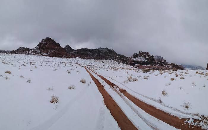 المسافر tweet media