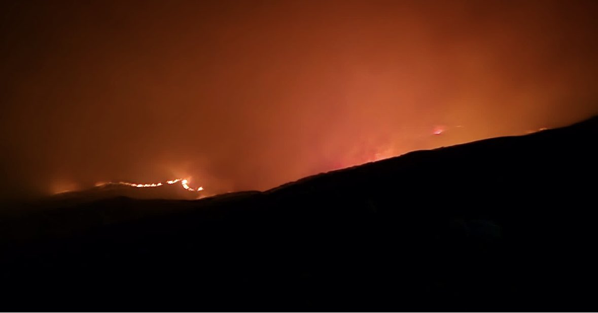 Noche de guardia en Gredos.
He dormido inquieto.

Entre paciente y paciente de pueblos animados en verano el cercano fuego del incendio del Valle del Jerte quemaba mi alma .

Quemaba como han ardido los cerezos que no verán ese mar de delicado algodón una nueva primavera.