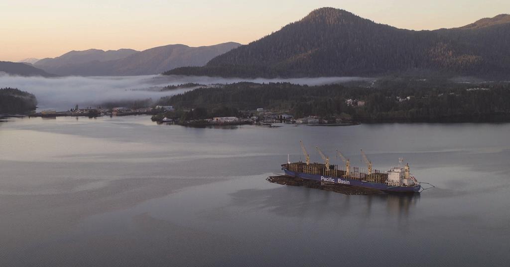 Pacific Basin Shipping has appointed Felix Swinbank as its bulk parcel and projects manager.

bit.ly/4oK0cCY
 
#heavylift #projectcargo #projectlogistics #projectforwarding #logistics