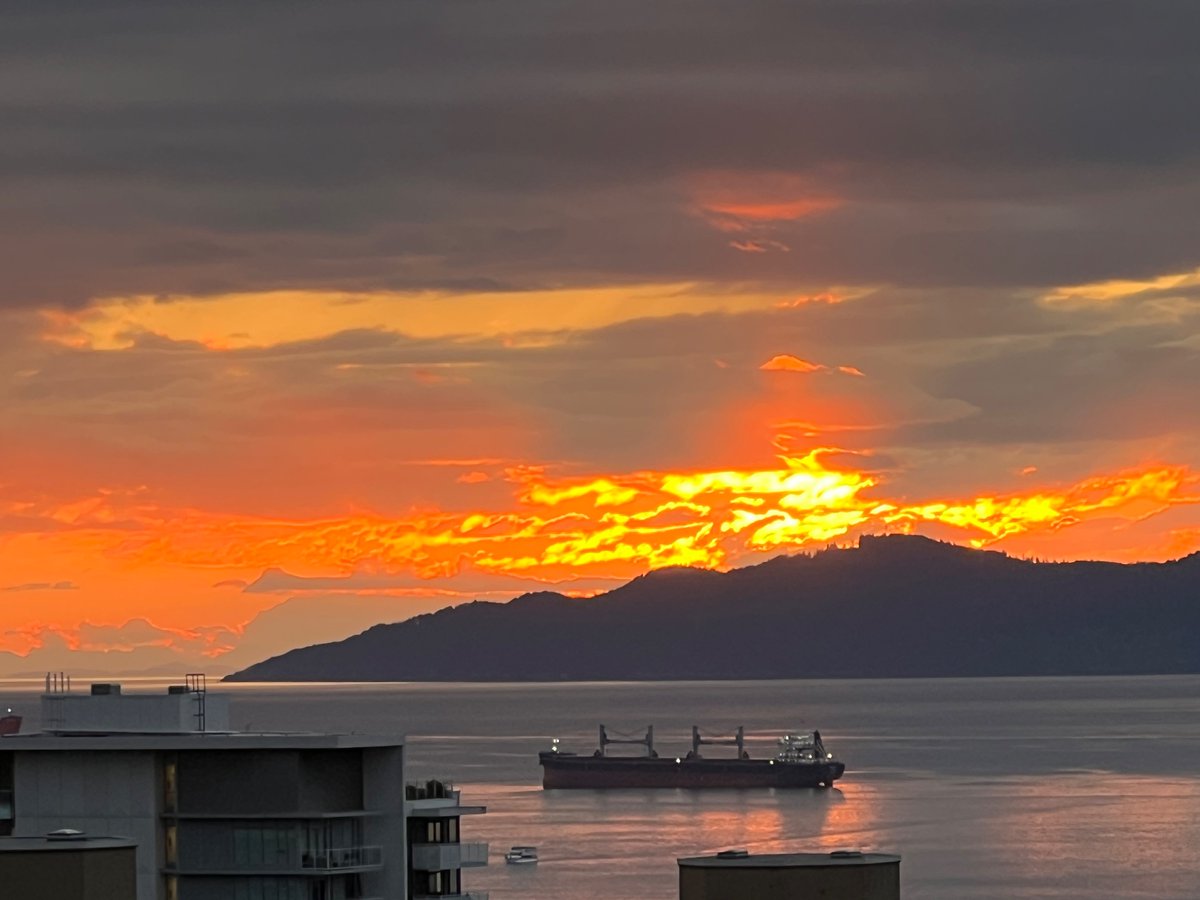 ElaineCarol3's tweet photo. Prednisone nightmare # 57 or is it my truth?
#EnglishBay
#WestEnd #WestEndSunset
#FierceSunset
#OrangeSunset
#YellowSunset
#BlueSunset #RedSunset
#CloudySunset https://t.co/ewyKWV7Sqh
