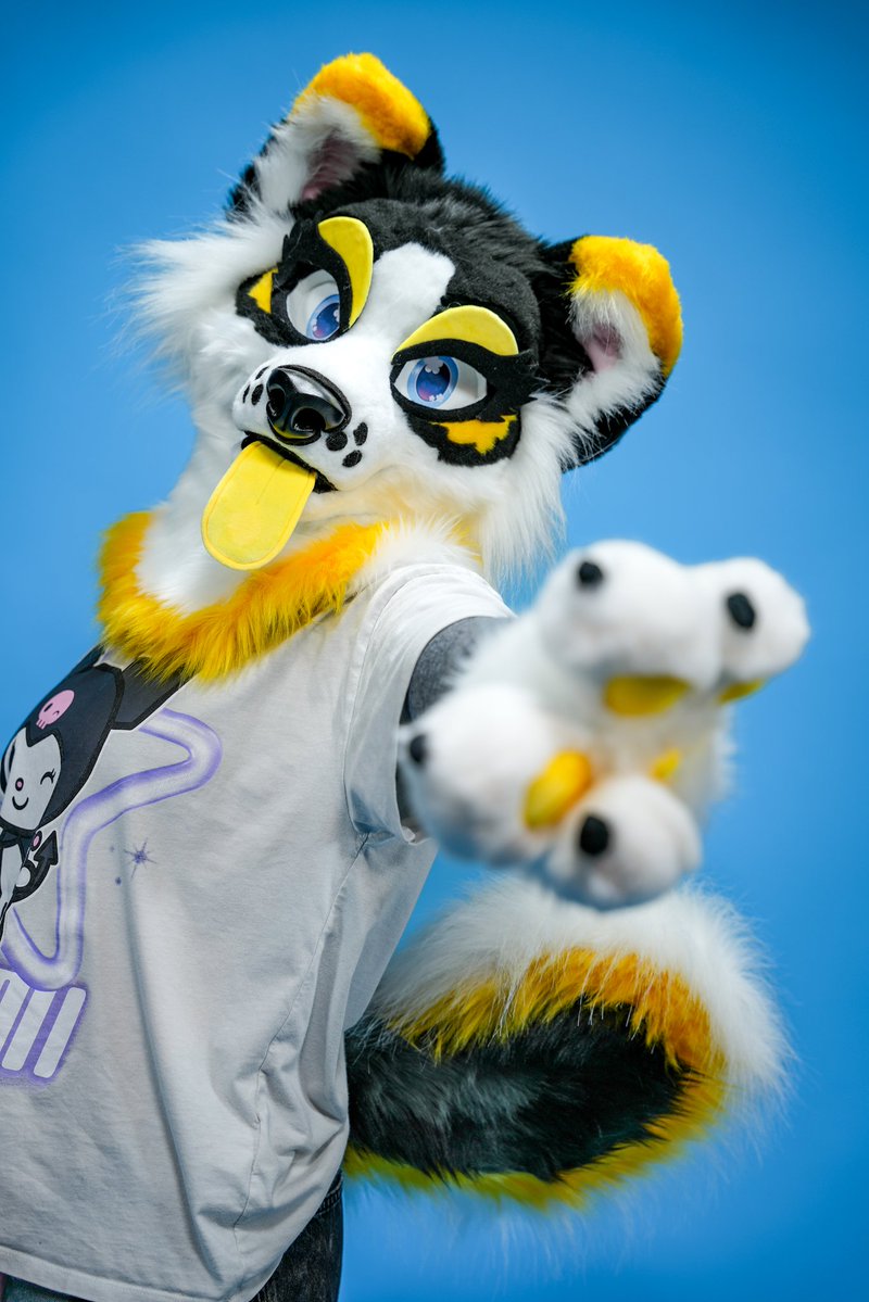 Pitou Rikou (@pitou_rikou) on Twitter photo Uno 🩷 dos 💜 tres 💛
3 news fursuit by <a href="/FurryForgeF/">FurryForgeFursuits</a>
I really like do collab with builder !
If you have any projet tell me 🙏💙
Which one you prefer ? Uno 🩷 dos 💜 tres 💛
3 news fursuit by <a href="/FurryForgeF/">FurryForgeFursuits</a>
I really like do collab with builder !
If you have any projet tell me 🙏💙
Which one you prefer ?