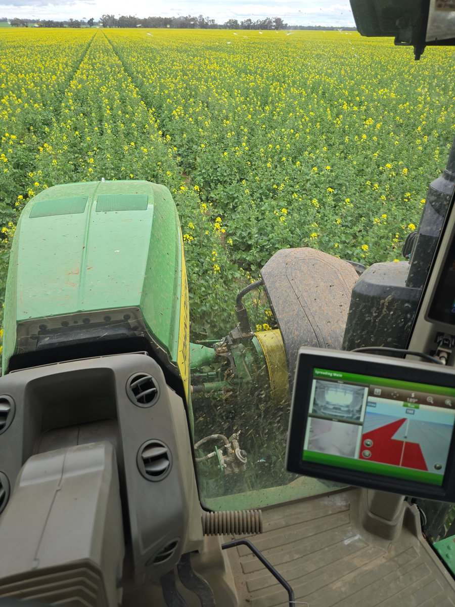 Broden holland tweet media