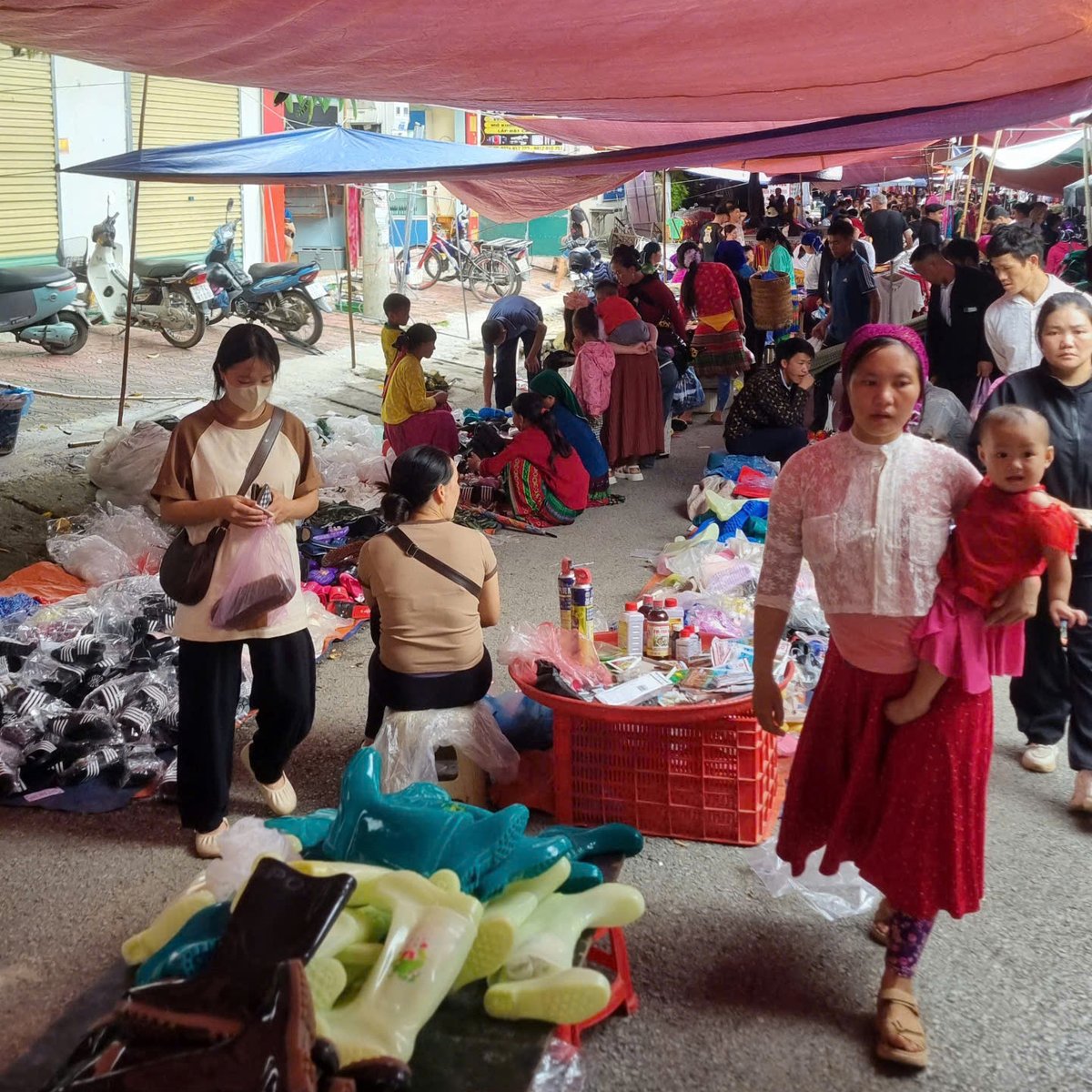 EasyRidersVN's tweet image. 📷 The Ha Giang Loop Tour is all about winding mountain passes, remote villages, and breathtaking landscapes at every turn. 📷

📷 If you’re seeking adventure and authentic #Vietnam, this journey deserves a spot on your bucket list!

#easyridersvietnam #hagiangloop