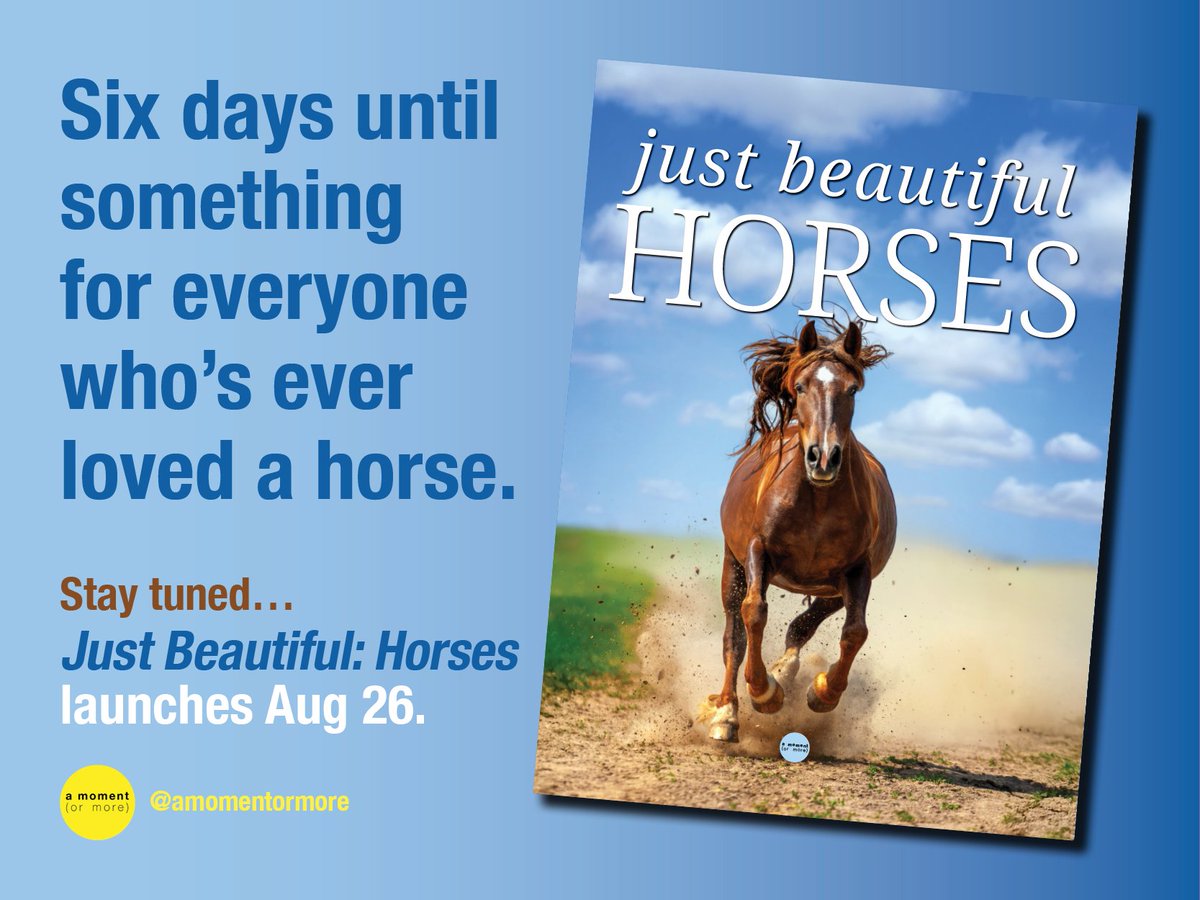 Six days until something for everyone who’s ever loved a horse.
Just Beautiful: Horses launches Aug 26.

Stay tuned — this one’s made for horse lovers everywhere.

What’s your first memory of a horse?

#horses #photography #coffeetablebook #justbeautiful