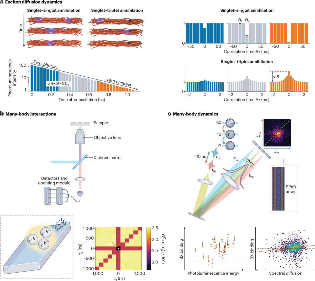 NatureNano's tweet image. New Review Article:

Enhancing spectroscopy and microscopy with emerging methods in photon correlation and quantum illumination.

nature.com/articles/s4156…

#Spectroscopy 
#Microscopy
#QuantumIlumination
#SuperResolution
#Bionanophotonics