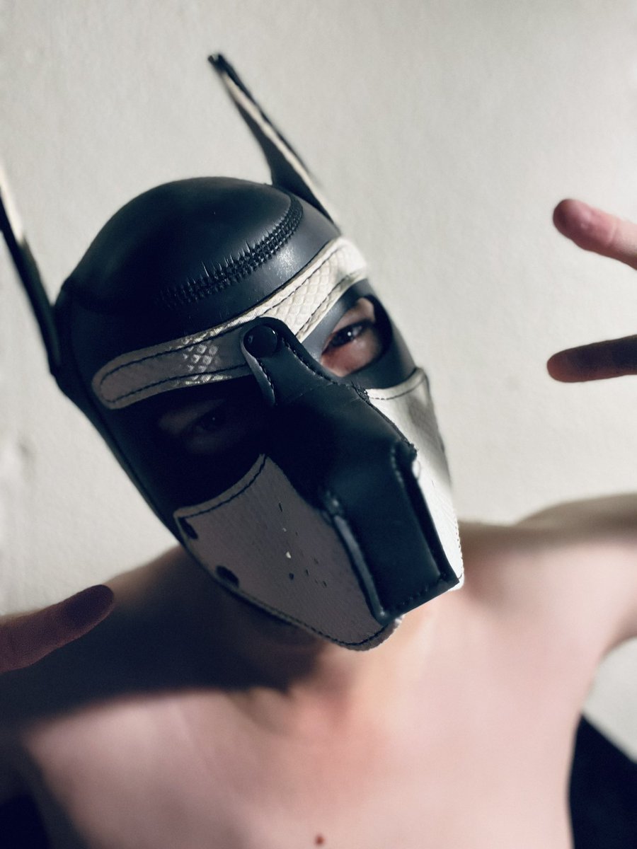 Viking Wolf (After Dark) (@AethelwulfAD) / Posts / X