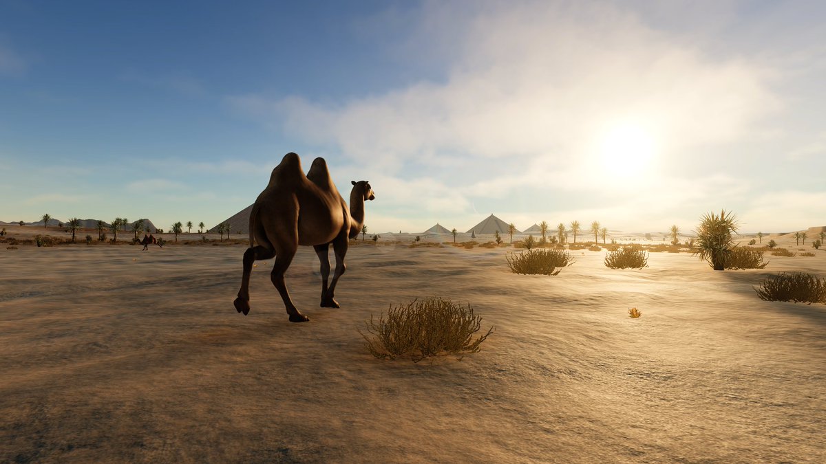 JonDixonTCG tweet media