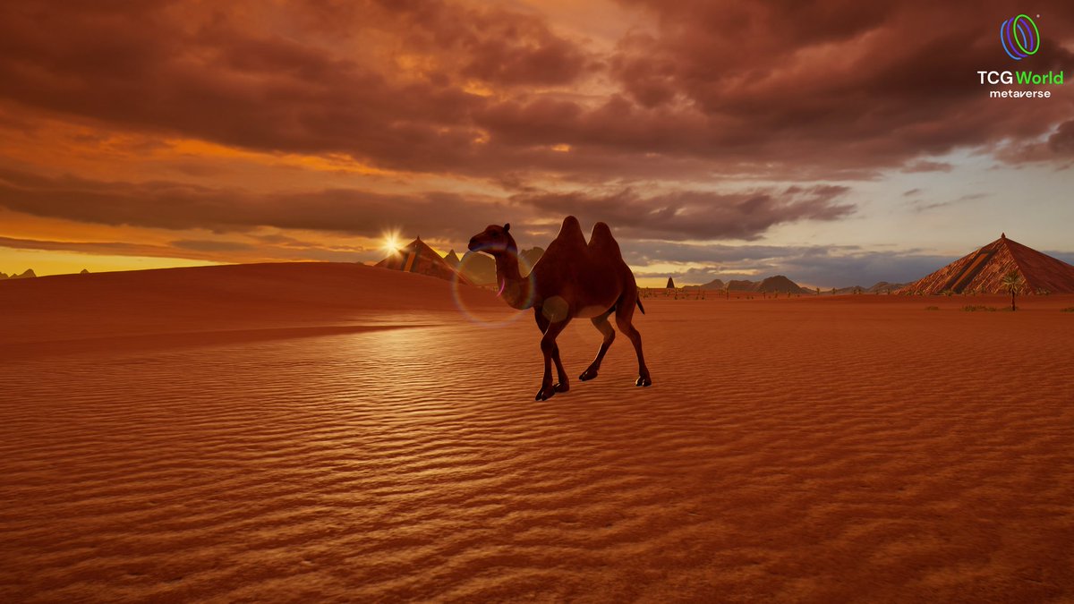 JonDixonTCG tweet media