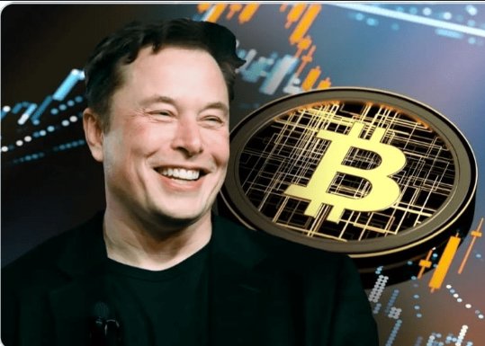 PandaProTrader (@pandaprotrader1) on Twitter photo 🚀 <a href="/elonmusk/">Elon Musk</a> brings #Bitcoin tipping to X!
$BTC tipping is now live via BitBit & Spark on the ⚡️ Lightning Network: • Instant, low-fee transfers
• Support for creators/communities
• Micropayments made easy
This is more than trading — it’s real-world Bitcoin utility. 🚀 <a href="/elonmusk/">Elon Musk</a> brings #Bitcoin tipping to X!
$BTC tipping is now live via BitBit & Spark on the ⚡️ Lightning Network: • Instant, low-fee transfers
• Support for creators/communities
• Micropayments made easy
This is more than trading — it’s real-world Bitcoin utility.