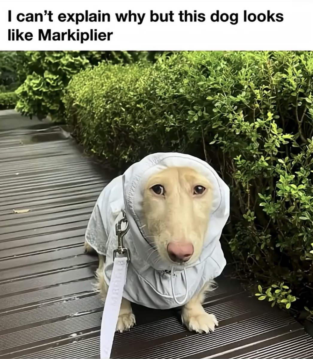 Images That Make You Feel Pain (@manmilk2) on Twitter photo 