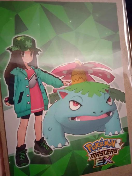 Got Leaf and Gary/sgr merch in the mail today