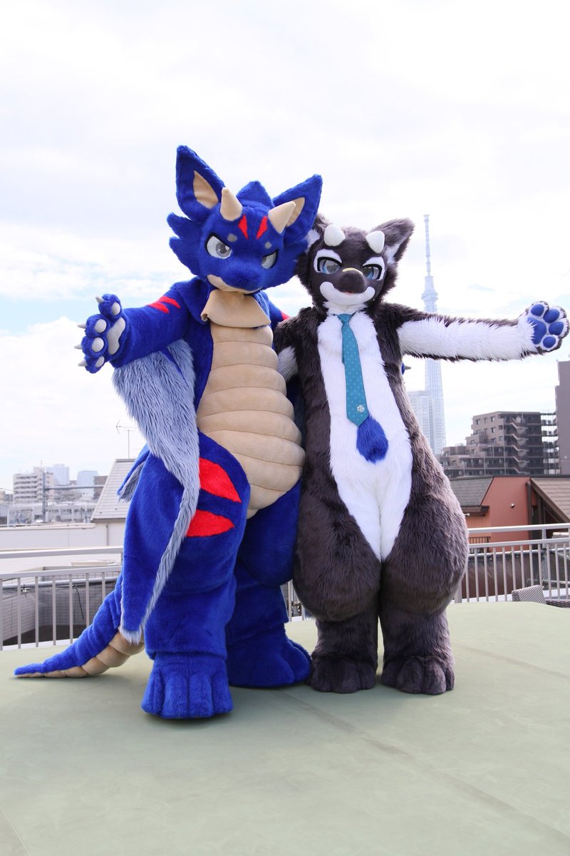 #FursuitEveryday 
シャチドラゴン…最高だな。会えて嬉しかったぞ。