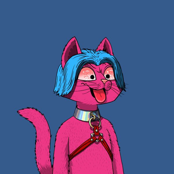 SophistiCATed <a href="/MarsCatsVoyage/">Mars Cats Voyage</a>