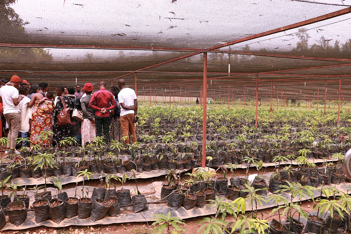 🌱From seedlings to exports!🚀 Throughout this week, NAEB through PSAC ...