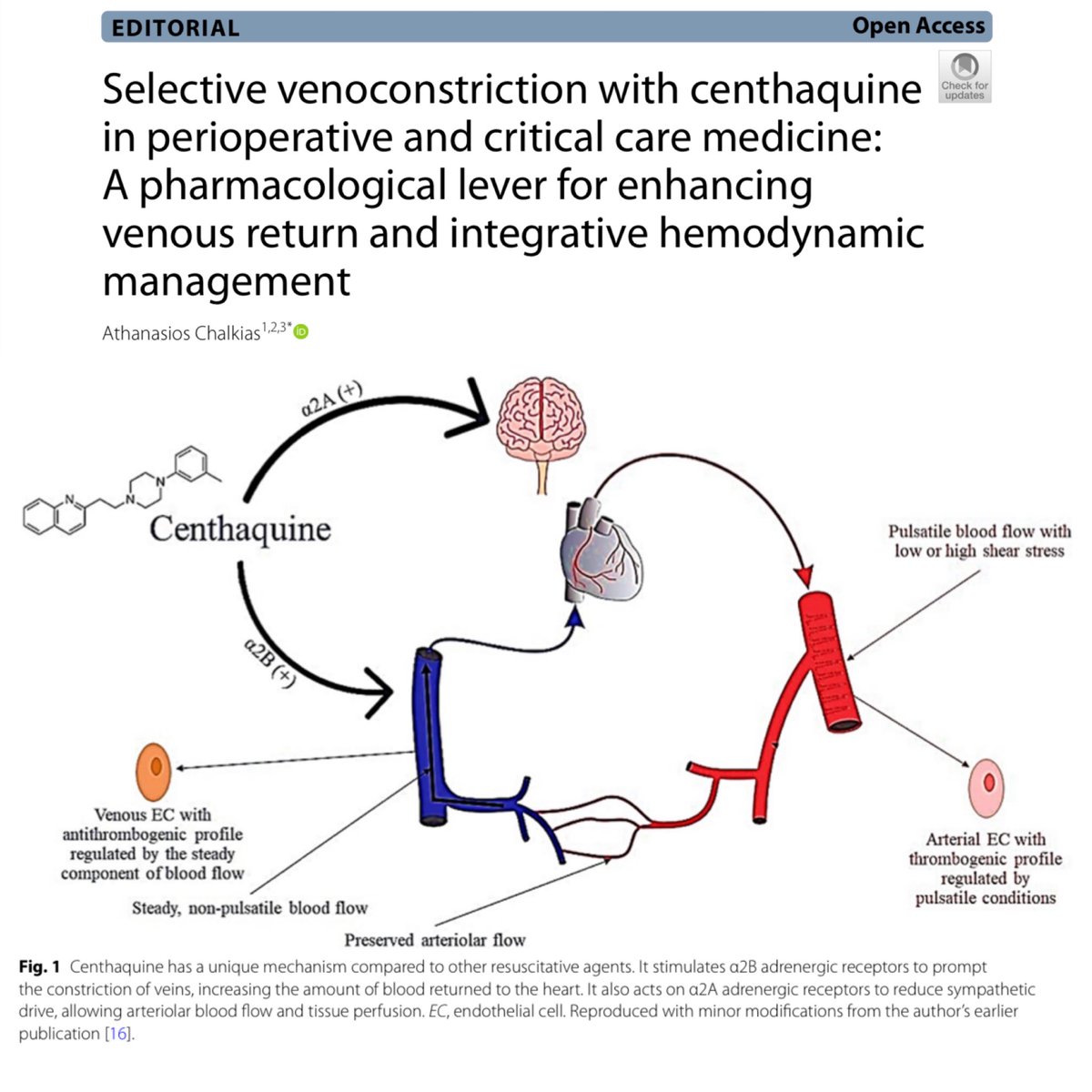 There might be a new vasopressor coming to town: Centhaquine. I'm looking forward to the research that will add it to our armamentarium. I hope to include it in the second edition of  The Vasopressor  &amp; Inotrope Handbook. 🎩 tip to the author.
eddyjoemd.com/foamed