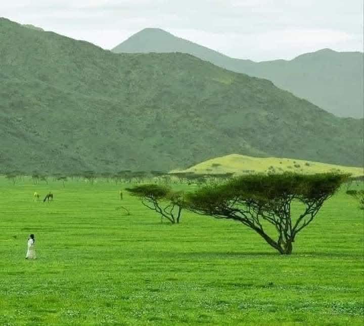 احلي بلد مصر بلدي