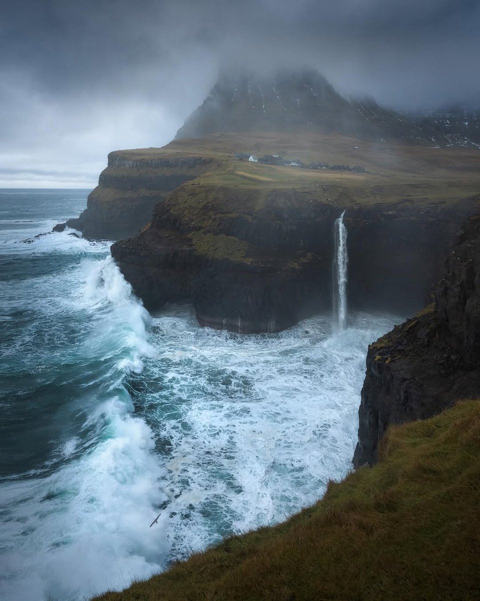 𝘄𝗮𝗻𝗱𝗲𝗿𝘁𝗿𝗮𝘃𝗲𝗹𝘀 tweet media