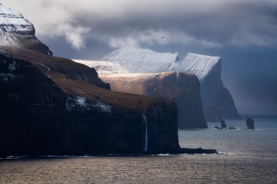 𝘄𝗮𝗻𝗱𝗲𝗿𝘁𝗿𝗮𝘃𝗲𝗹𝘀 tweet media