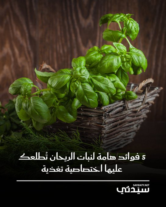 الريحان Basil نبات عطري شائع في المطبخ يتميز بنكهته المميزة وفوائده الصحية المتعددة، فإليكِ أبرز 5 فوائد له 