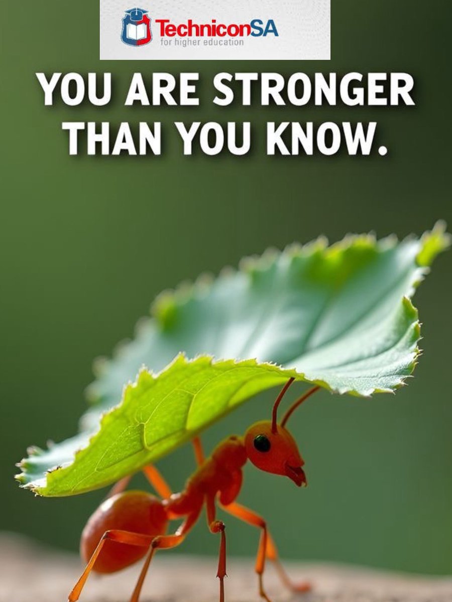 techniconsa's tweet image. *Wisdom Wednesday* 🌼
It’s almost the end of the week ,Let's finish the week strong and step into success. 💪📚✨
techniconsa.org.za 
#secondsemester #thirdtrimester #college #EnrollToday