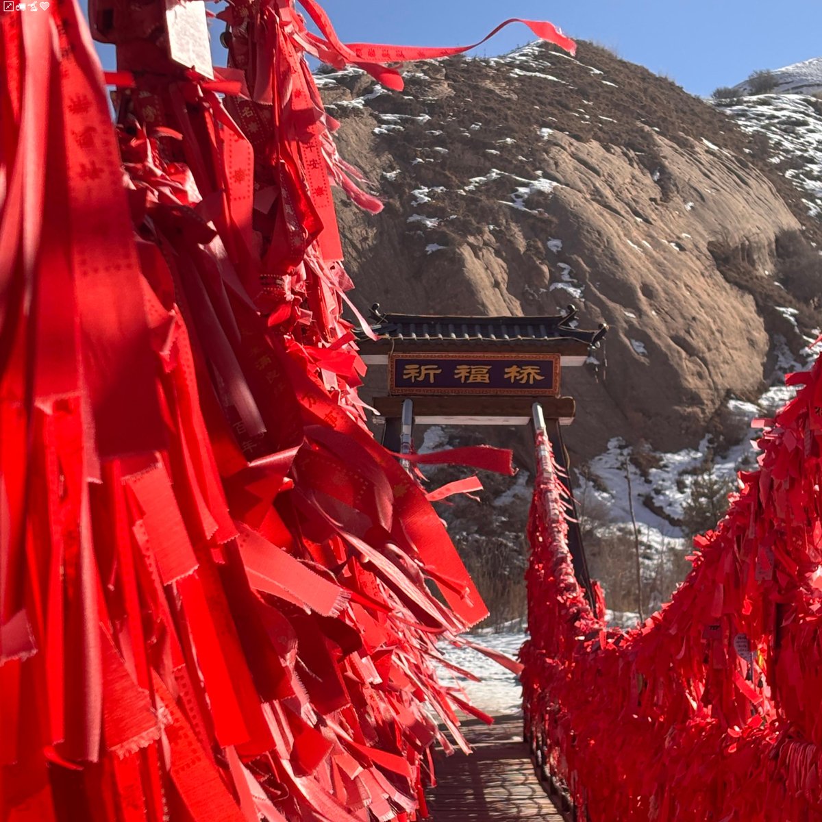 56 (ゴルえりこ) tweet media