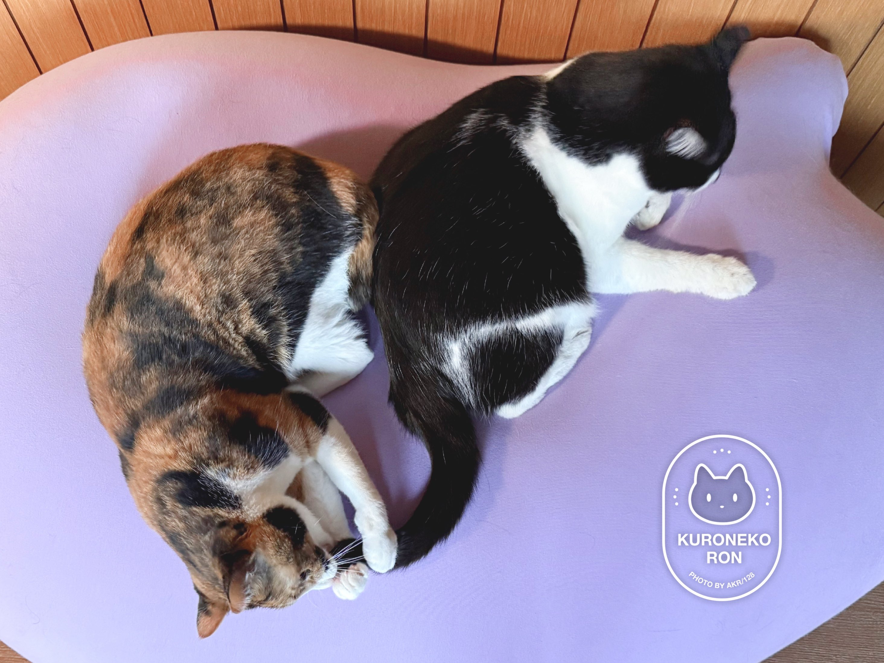 AKR｜7巻でたよ on X: 