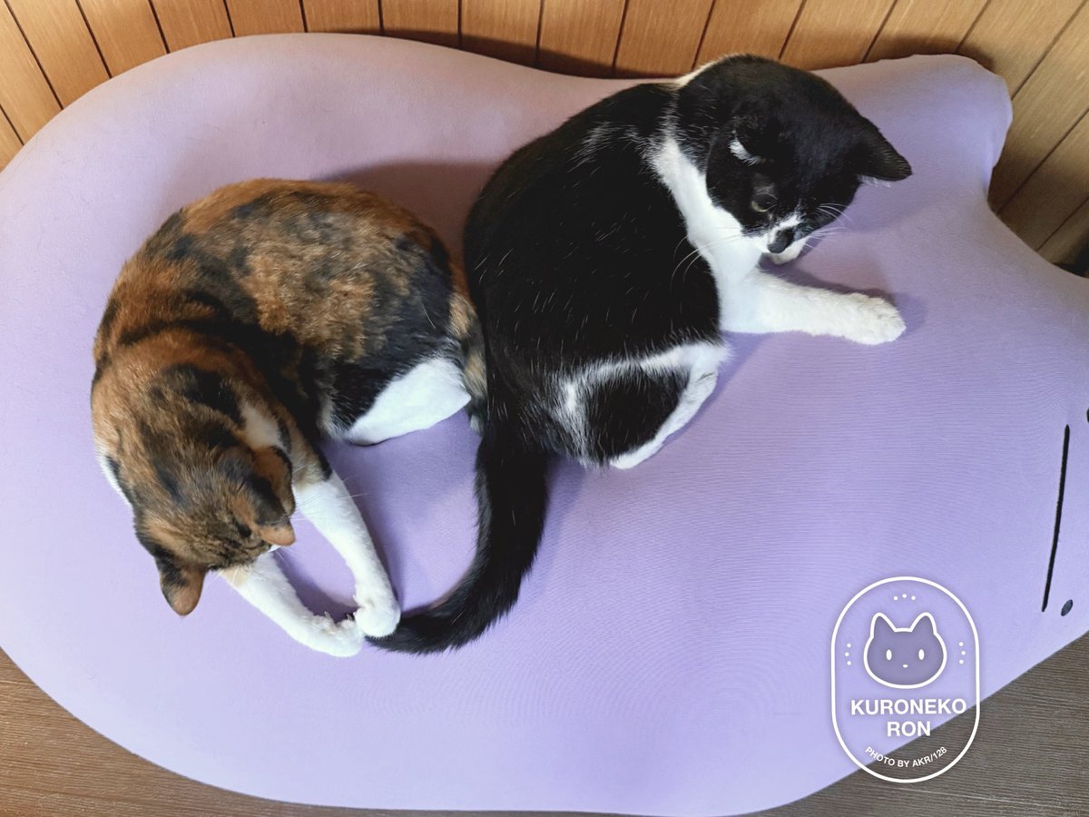 ママのしっぽをわしづかみ、口へ──……