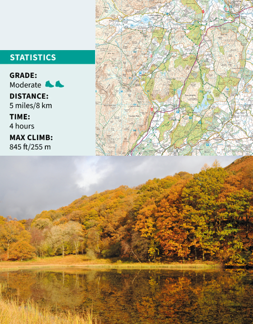 Roger Butler enjoys woods and water in the low fells to the north of Coniston. 🥾
Follow the link in our bio to order your September issue...

#morningwalk #walking #walk #walkies #walker #walks