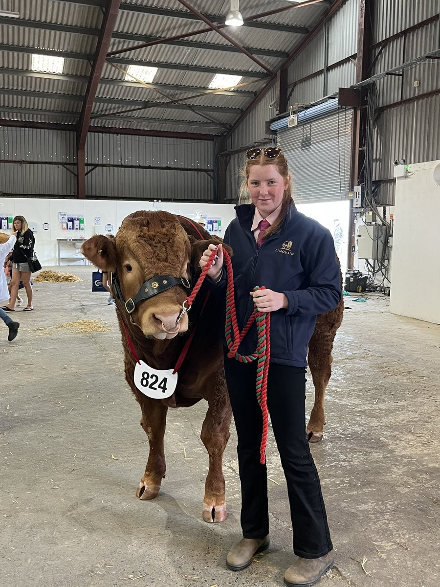 Pembs County Show tweet media