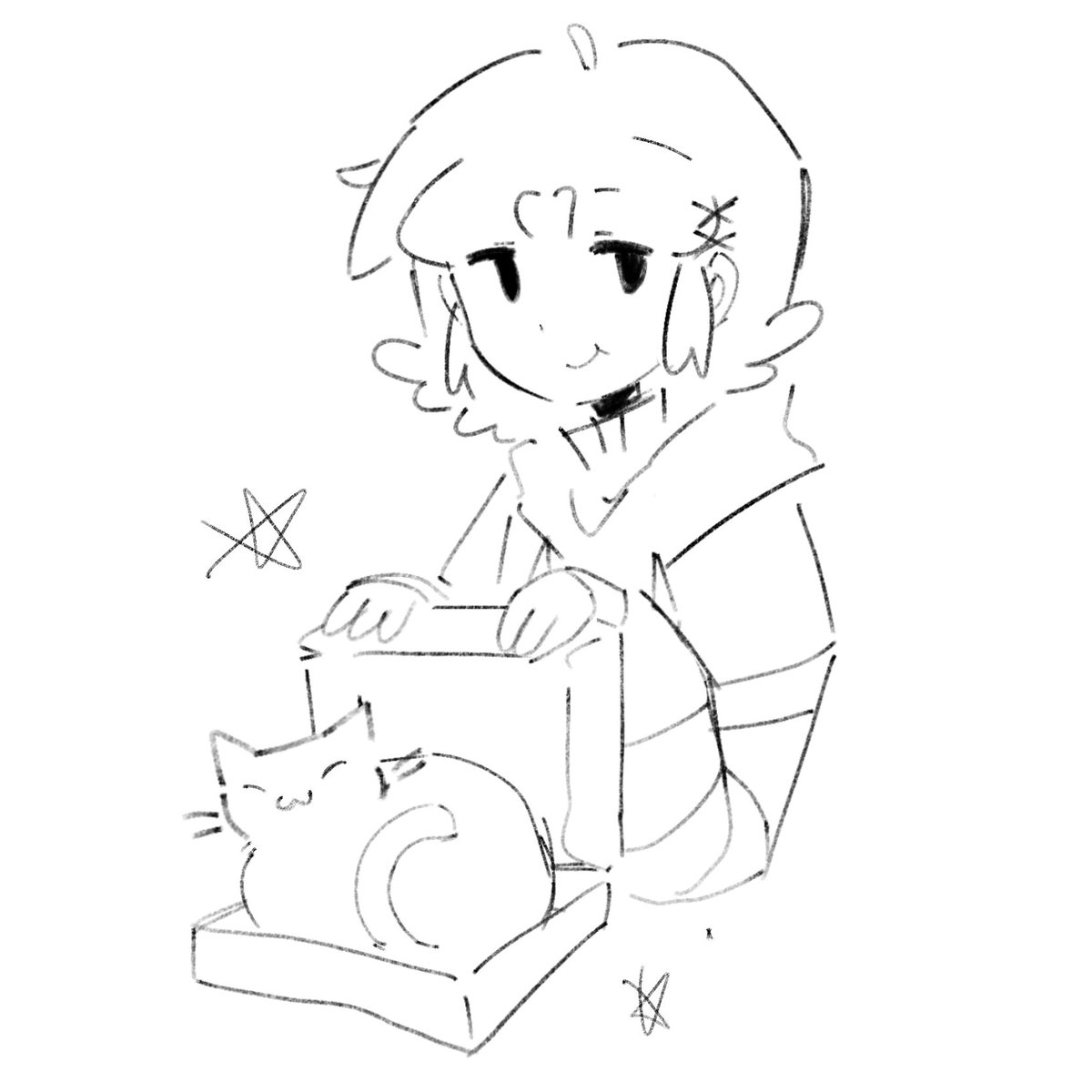 CAT playing in the box🐈🐈