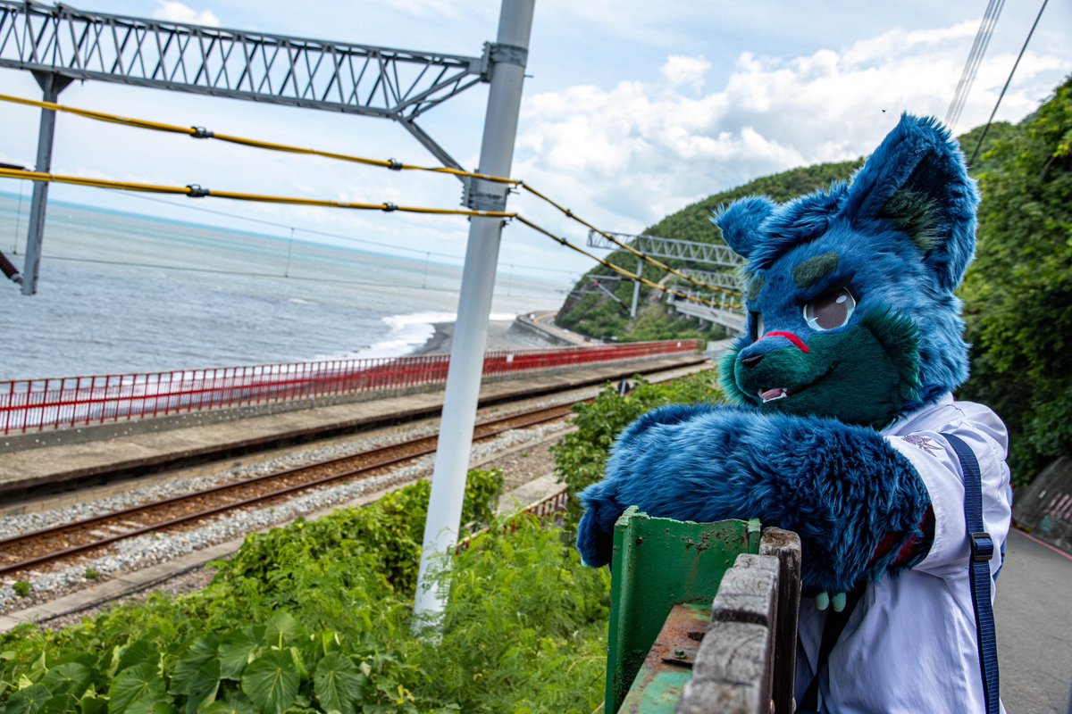 CT the Wolf➡️UTFG (@ctthewolf) on Twitter photo Sea!
I want a vacation to beach🥹
🐾: Me!
📸: <a href="/Takoro_doge/">塔可洛/タコロ🐶 ➡️獸無限Infurnity2025</a>
🪡: 黑雪工坊Kuroyuki
(Sleeve: 天偶毛作KemoTianou)
#FursuitEveryday Sea!
I want a vacation to beach🥹
🐾: Me!
📸: <a href="/Takoro_doge/">塔可洛/タコロ🐶 ➡️獸無限Infurnity2025</a>
🪡: 黑雪工坊Kuroyuki
(Sleeve: 天偶毛作KemoTianou)
#FursuitEveryday