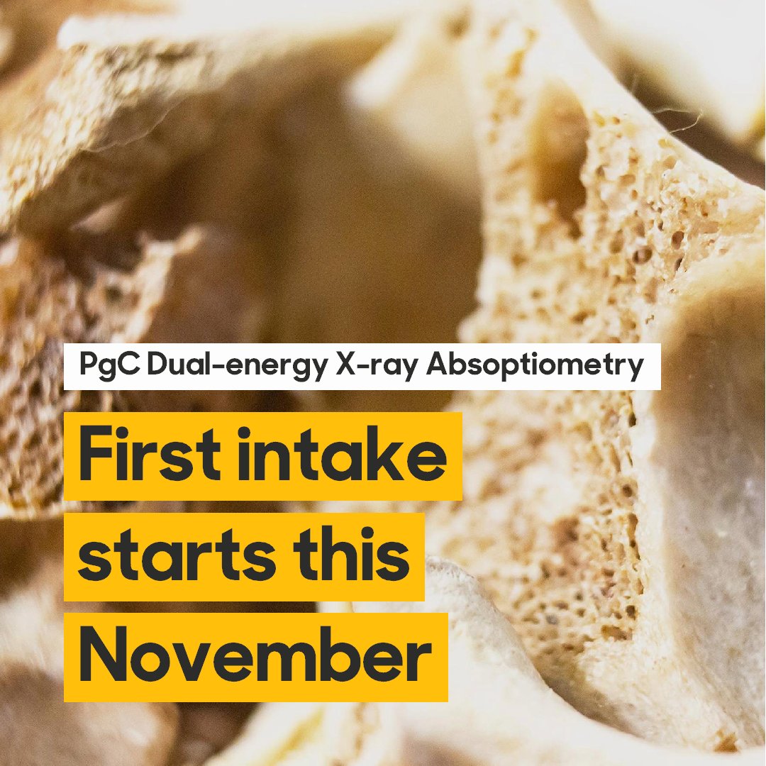 We are excited to announce that our new postgraduate certificate in DXA will begin this November! Applications are now open! To see more information about the course please visit: uos.ac.uk/study/pgc-dual… 
#radiography #DXA #dualenergy #osteoporosis #fls #radiographer #bonehealth